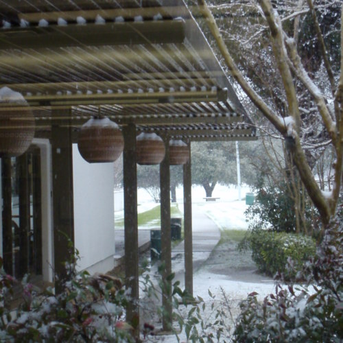 Pottery lamps hang from a pergola on the southeast side of the Emily Fowler Library.