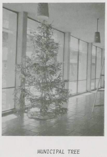 View of the Municipal Christmas tree sitting on the Saltillo tile floor. Beaumont Mood pendant lights hang overhead.