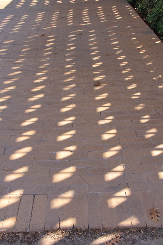 Late morning light in January creates a geometric-shaped pattern on the brickwork.